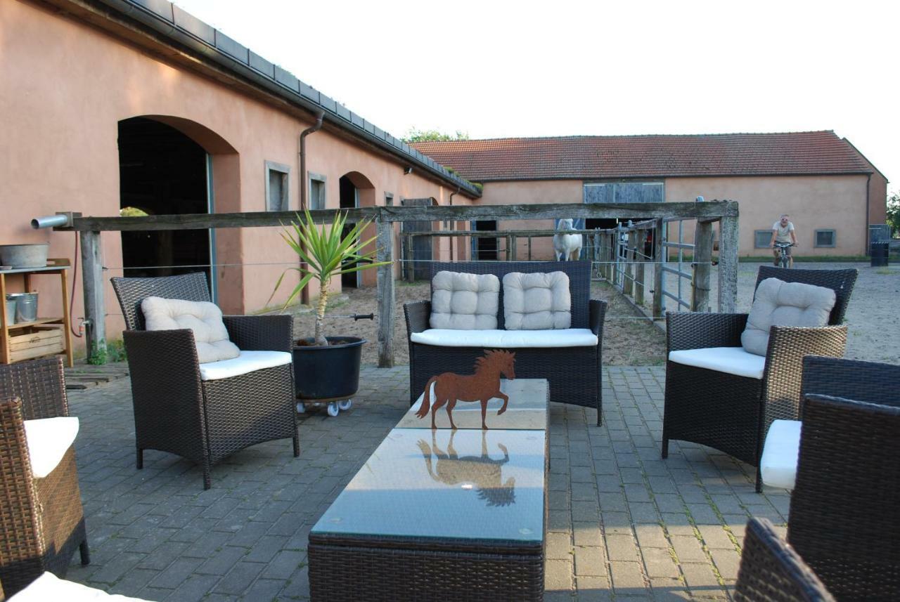 Ferienwohnung Auf Pferdehof Dreetz Exterior photo